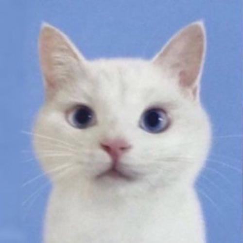 สมาชิกหมายเลข 4189032