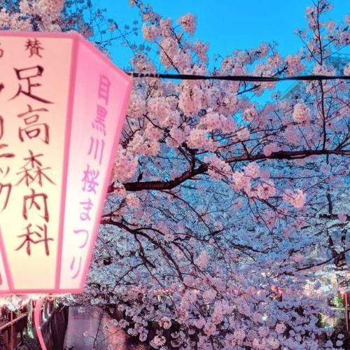 สมาชิกหมายเลข 7121395