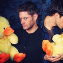 สมาชิกหมายเลข 1319573