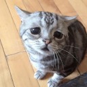 เหงาแต่ยังหายใจ