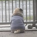 สมาชิกหมายเลข 2321273