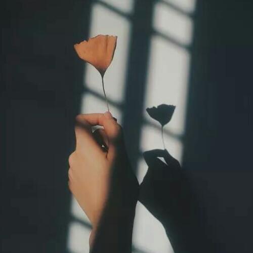 สมาชิกหมายเลข 4928541