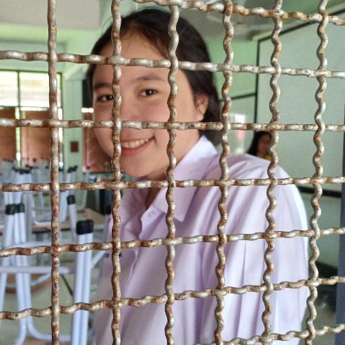 สมาชิกหมายเลข 4950063