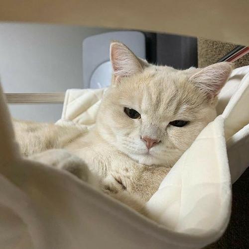 สมาชิกหมายเลข 5361799