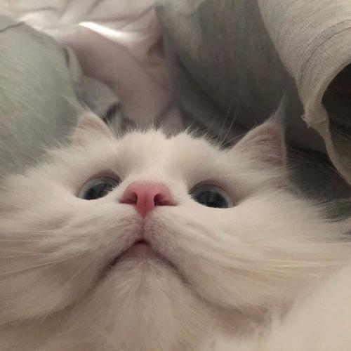 สมาชิกหมายเลข 5825191