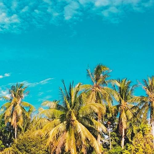 สมาชิกหมายเลข 6153902