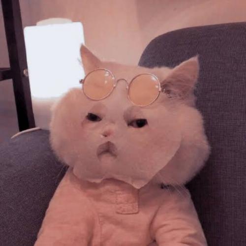 สมาชิกหมายเลข 4724125