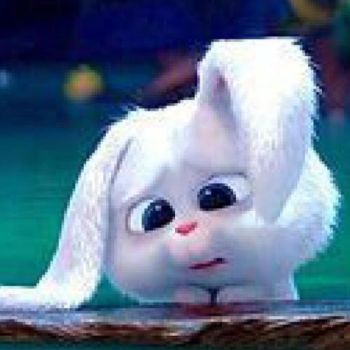 สมาชิกหมายเลข 6405102