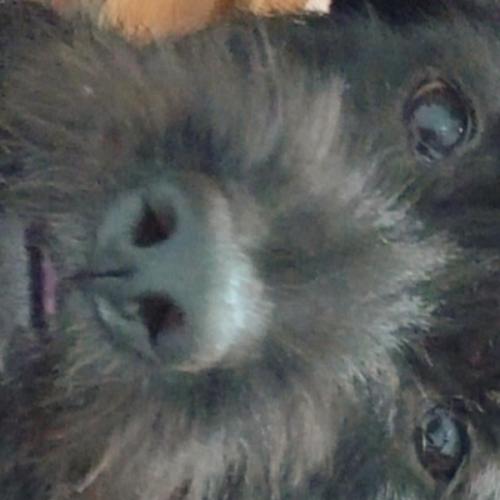 สมาชิกหมายเลข 6752343