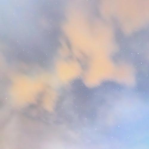 สมาชิกหมายเลข 6380201