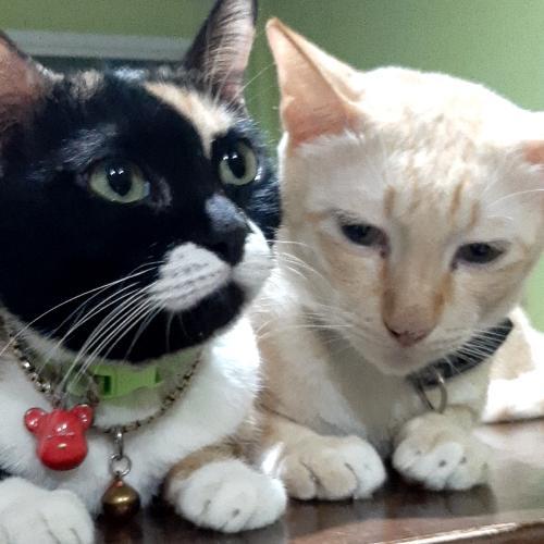 สมาชิกหมายเลข 7885913