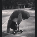 สมาชิกหมายเลข 3730480