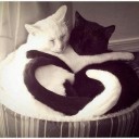 สมาชิกหมายเลข 1054335