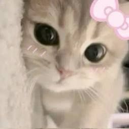 สมาชิกหมายเลข 9345199
