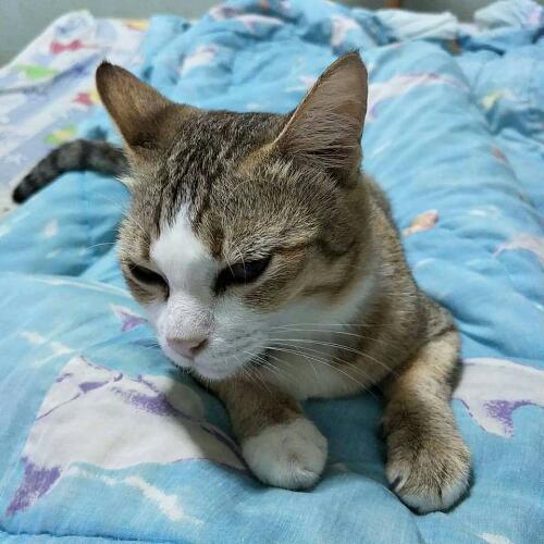 สมาชิกหมายเลข 4600909