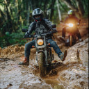 สมาชิกหมายเลข 4798614