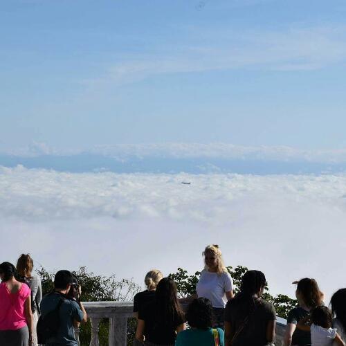 สมาชิกหมายเลข 4950250