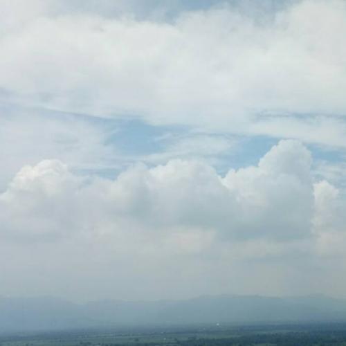 สมาชิกหมายเลข 4950516