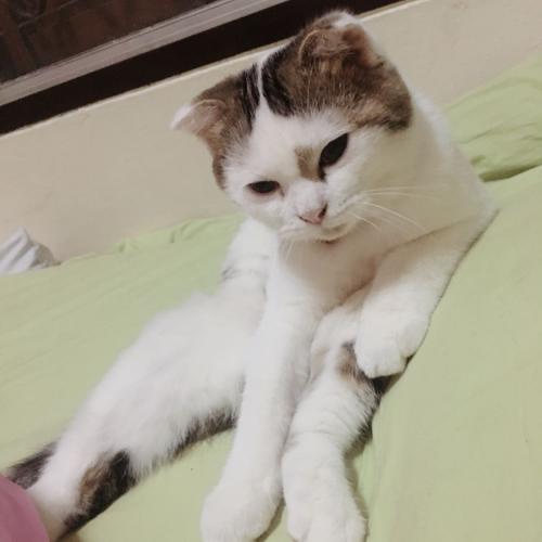 สมาชิกหมายเลข 5313835