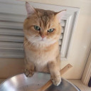 สมาชิกหมายเลข 869167