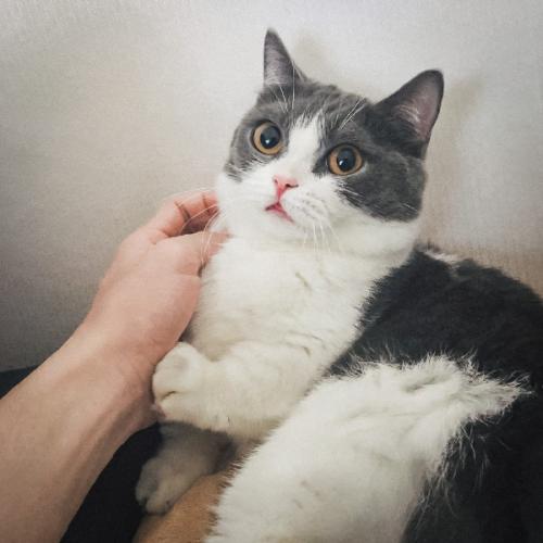 สมาชิกหมายเลข 5825517