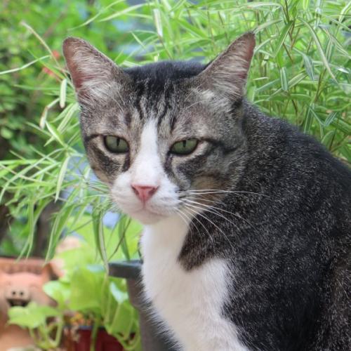 สมาชิกหมายเลข 6429562