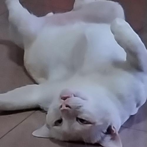 สมาชิกหมายเลข 6975283