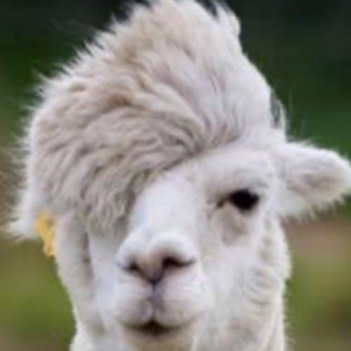 สมาชิกหมายเลข 7909536