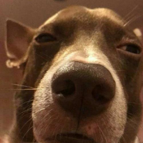 สมาชิกหมายเลข 4264165