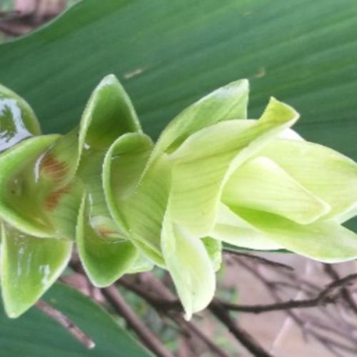 สมาชิกหมายเลข 8926786