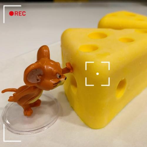 สมาชิกหมายเลข 8927546