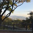 สมาชิกหมายเลข 4202314