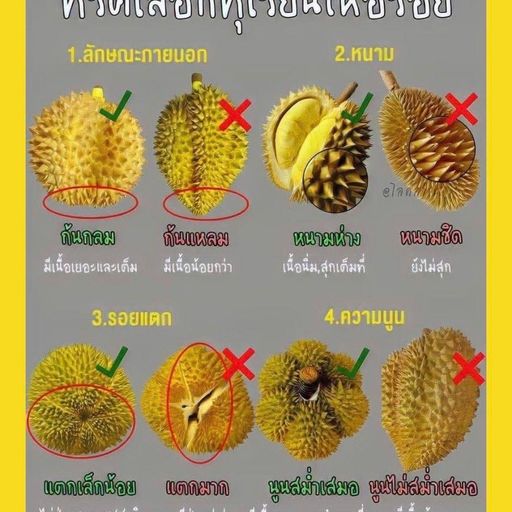 สมาชิกหมายเลข 5171935
