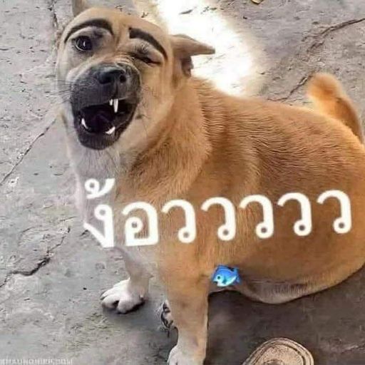 ผมก็งงในมนุษย์และสังคม