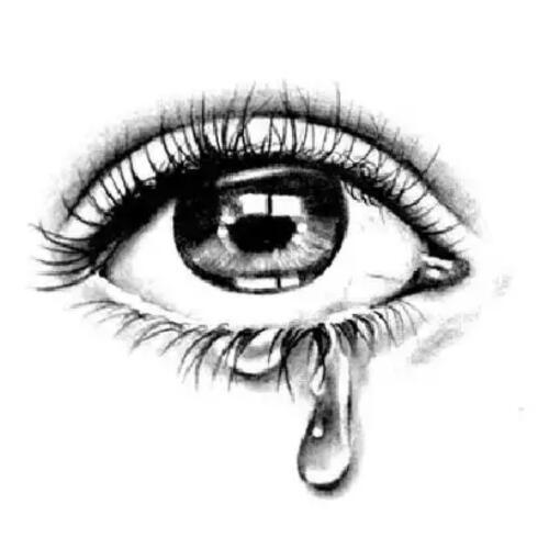 สมาชิกหมายเลข 4601134