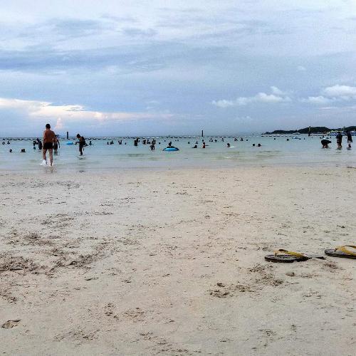 สมาชิกหมายเลข 4601195