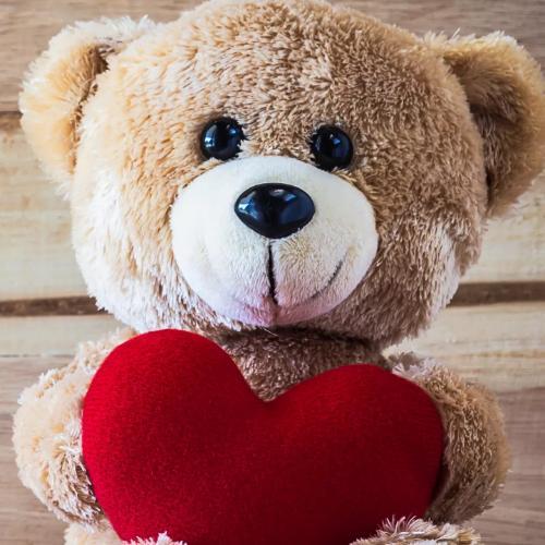 สมาชิกหมายเลข 5274120