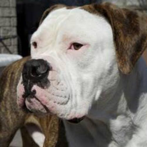 สมาชิกหมายเลข 5348630