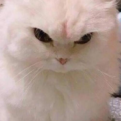 สมาชิกหมายเลข 3342305