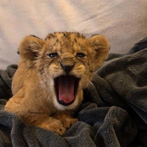 สมาชิกหมายเลข 5826207