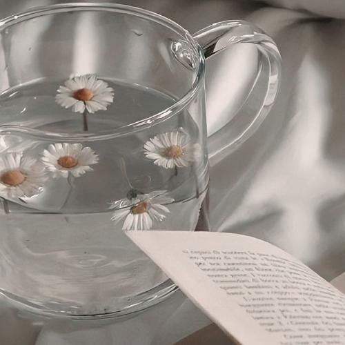 สมาชิกหมายเลข 5105359