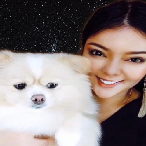 สมาชิกหมายเลข 7123675