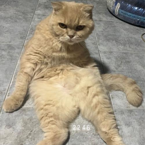 สมาชิกหมายเลข 2709695