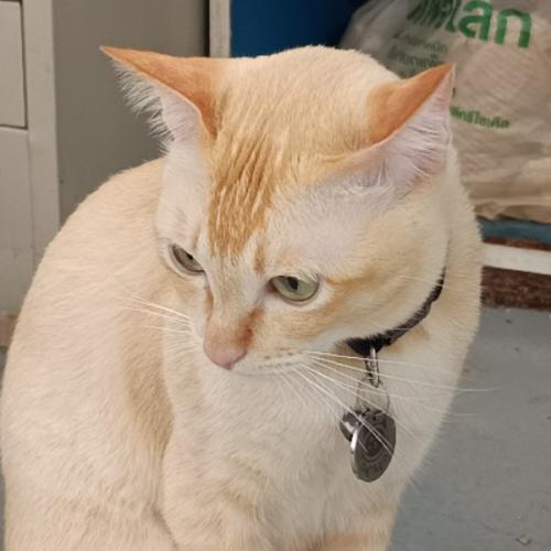 สมาชิกหมายเลข 8927809