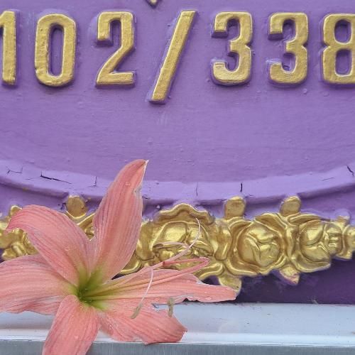 สมาชิกหมายเลข 1239599