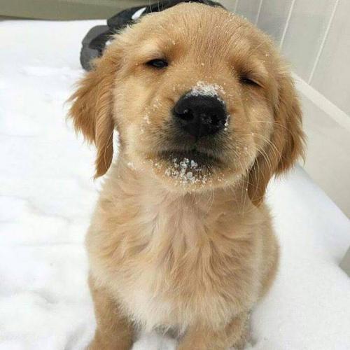 สมาชิกหมายเลข 1270244