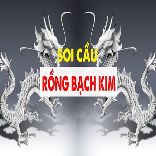 สมาชิกหมายเลข 9348195