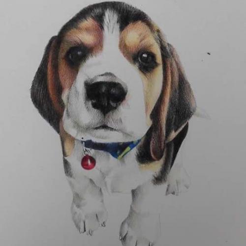 สมาชิกหมายเลข 1576512