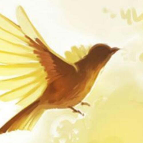 สมาชิกหมายเลข 4597805