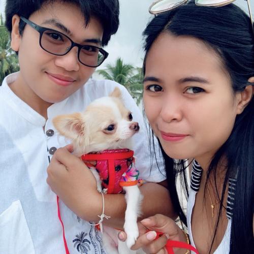 สมาชิกหมายเลข 4951199